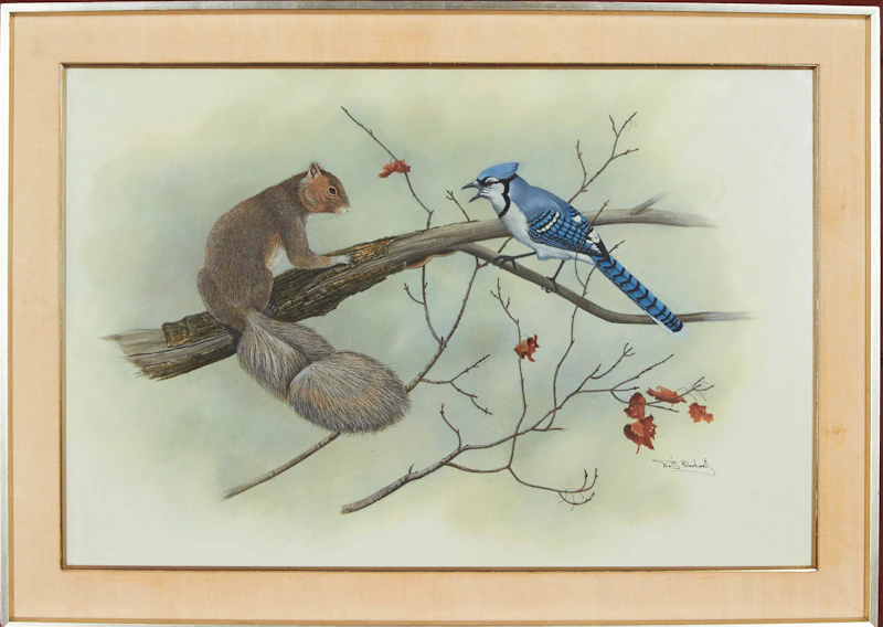 David Lloyd Blackwood, Squirrel and Bluejay