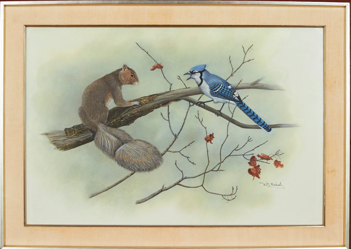 David Lloyd Blackwood, Squirrel and Bluejay, egg tempera