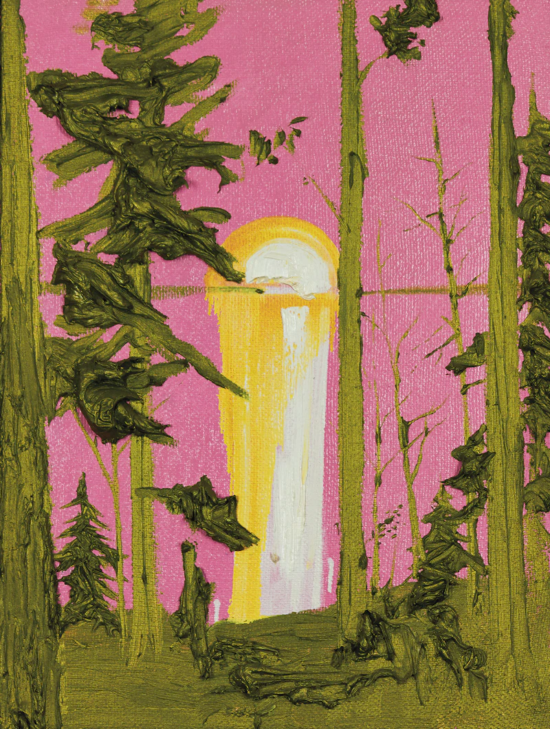Kim Dorland, Untitled (Pink and Green Sunset), oil on linen on board, 2011 - view 2
