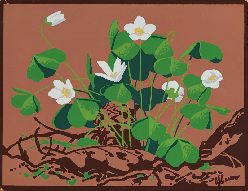 Alfred Joseph Casson, White Clover