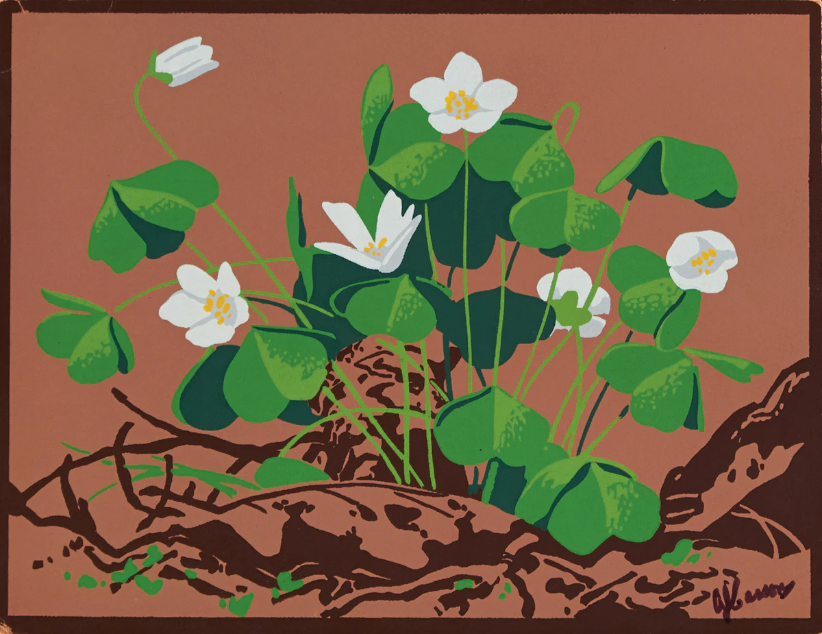 Alfred Joseph Casson, White Clover, silkscreen