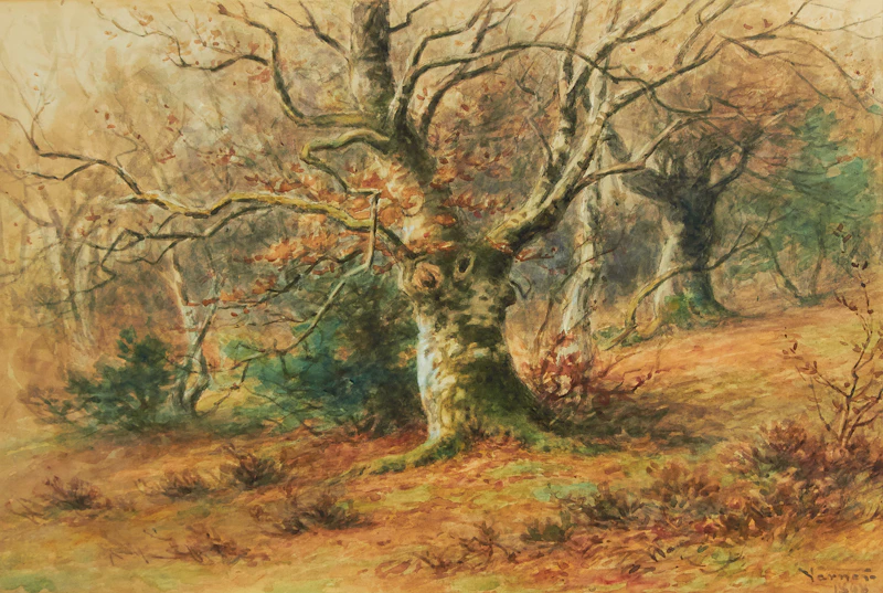 Frederick Arthur Verner, Forest Landscape, watercolour, 1898 - view 2