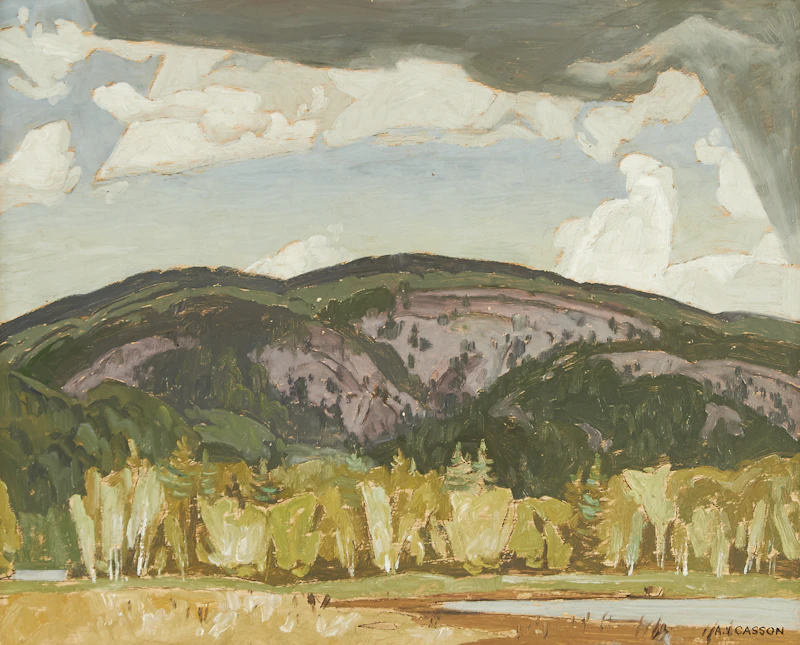 Alfred Joseph Casson, Madawaska Valley - Palmer Rapids, oil on board, 1956 - view 2