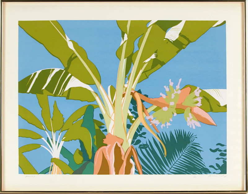 Alan C Moulding, Banana, print - view 2