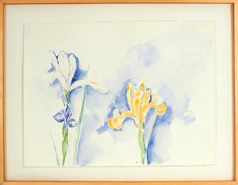 Lynn Donaghue, 3 Iris, watercolour, 1980 - view 2