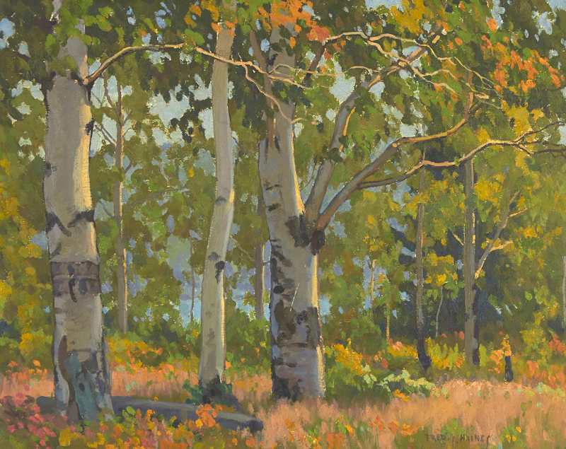 Birches, Dark Lake by Frederick Stanley Haines
