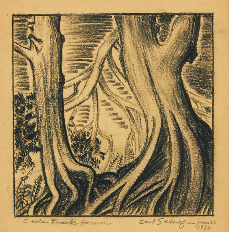 Cedar Trunks, Hanover by Carl Fellman Schaefer