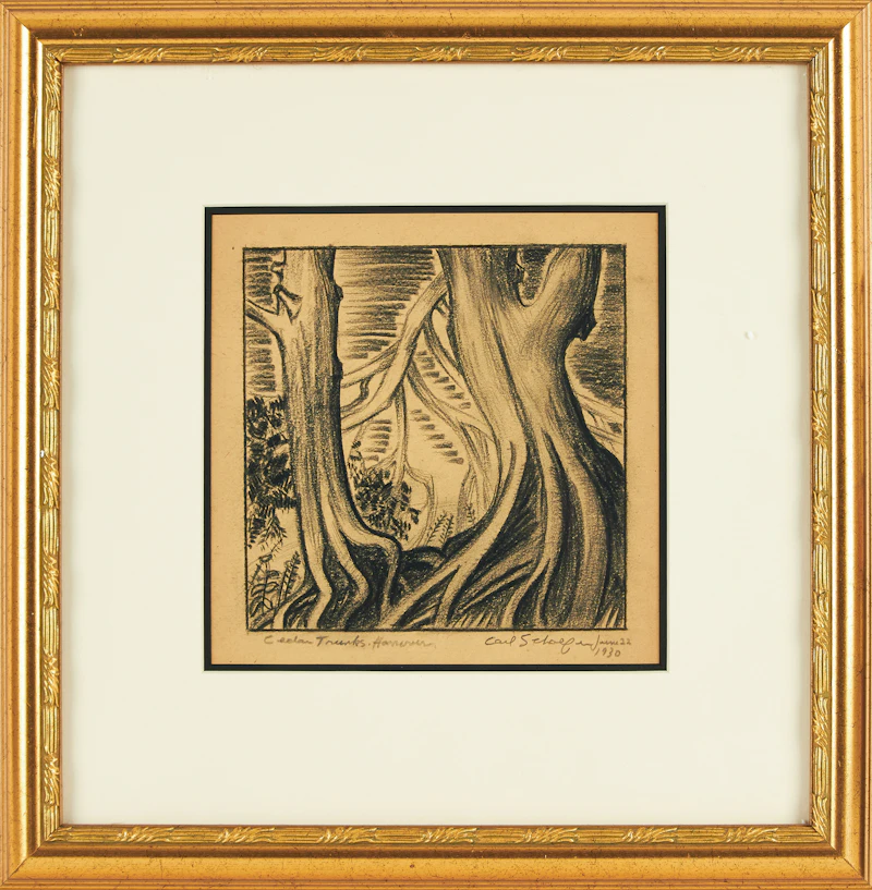 Carl Fellman Schaefer, Cedar Trunks, Hanover, charcoal, 1930 - view 2