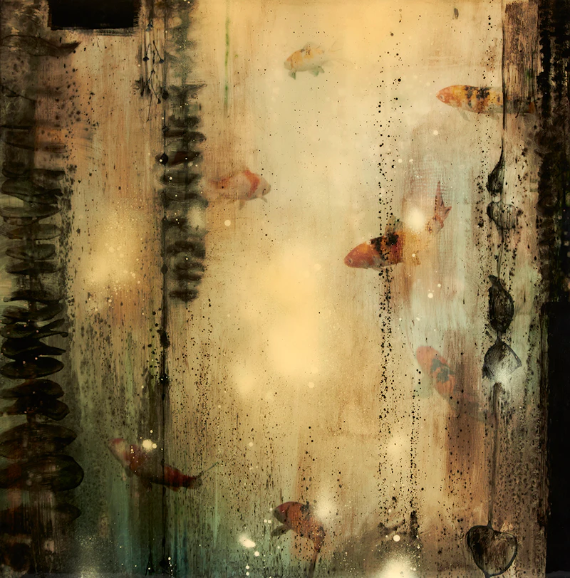 Steven Nederveen, Koi in Shimmering Water