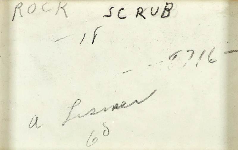 Arthur Lismer, Rock Scrub, ink and wash, 1960 - view 3