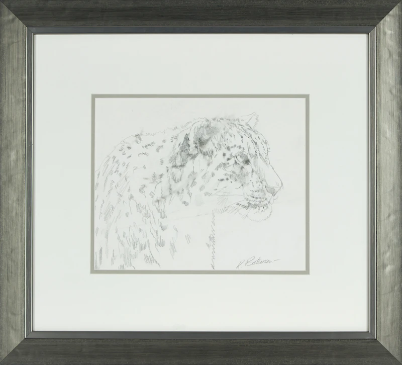 Robert Bateman, Study for High Kingdom Snow Leopard, graphite drawing - view 2