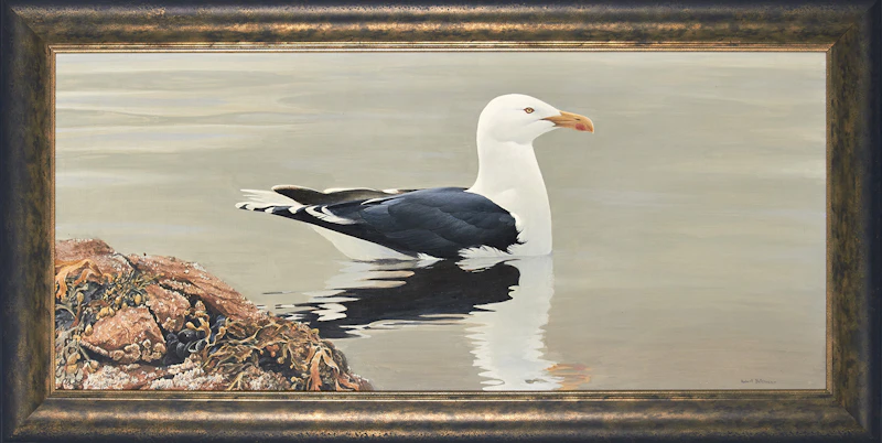 Robert Bateman, Gull, acrylic on board, 1969 - view 2