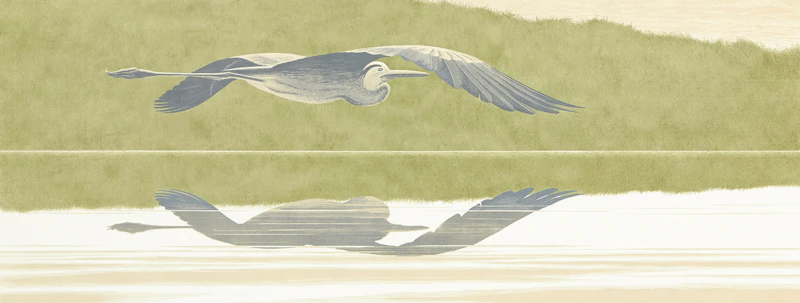 Heron by David Alexander Colville