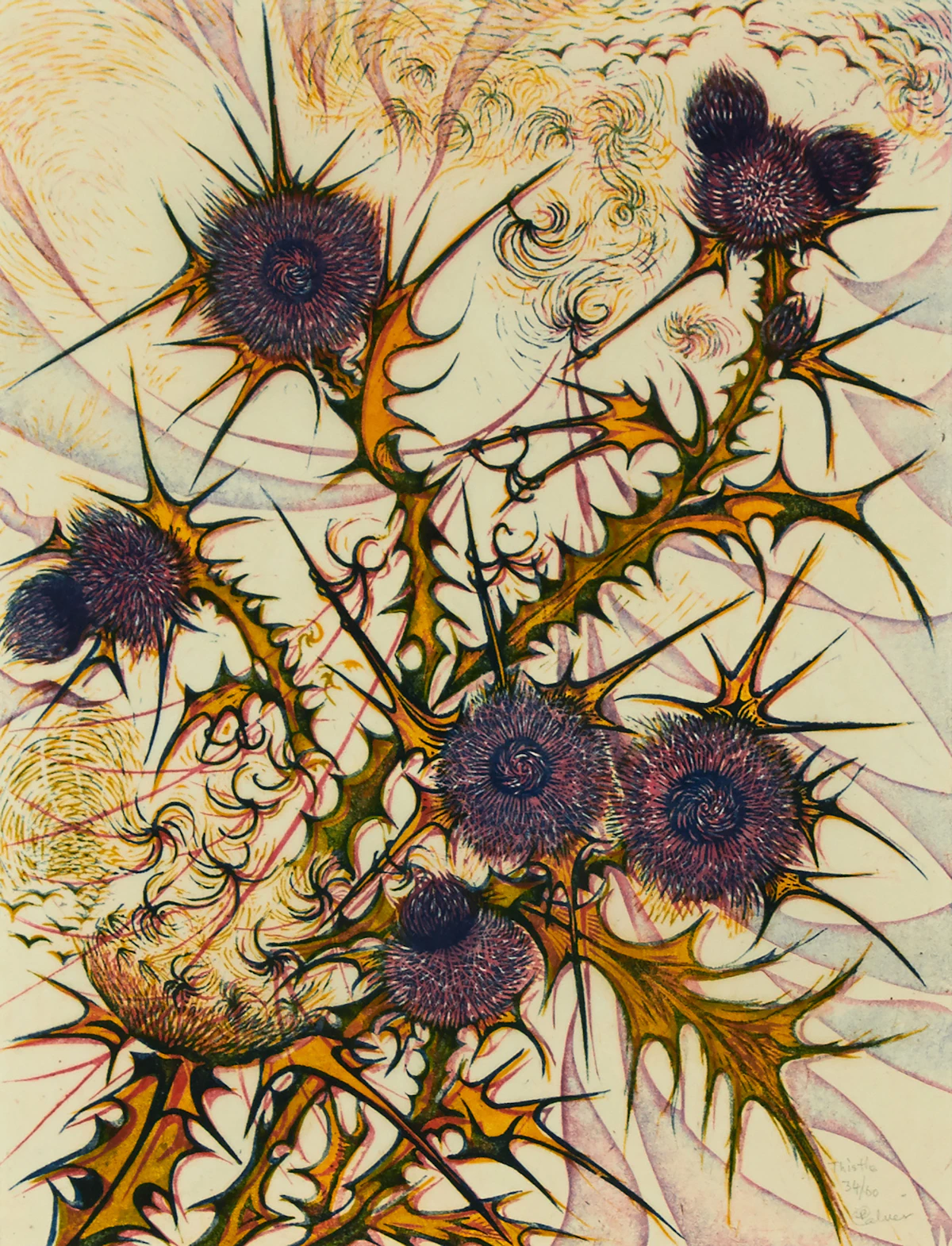Richard Calver, Thistle, colour linocut
