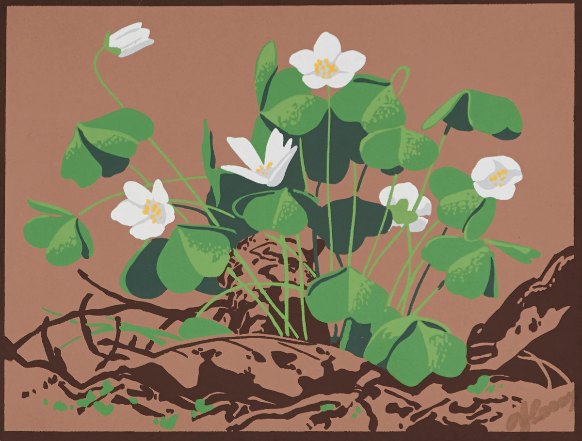 Alfred Joseph Casson, White Clover, colour silkscreen