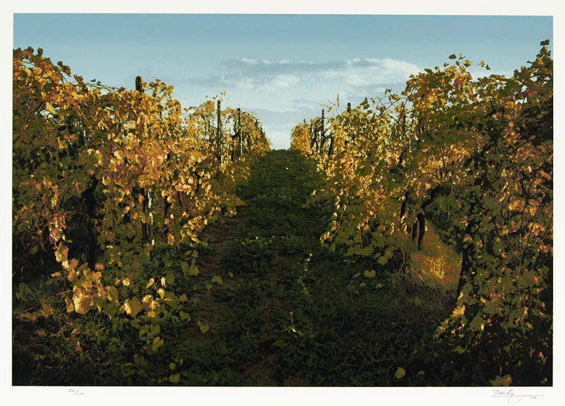Tuscan Gold by Kenneth Danby