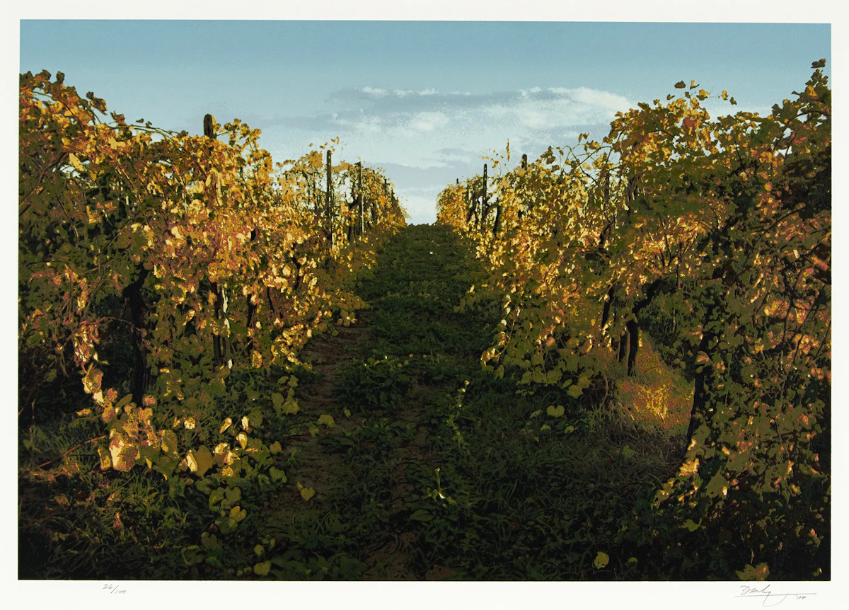 Kenneth Danby, Tuscan Gold, colour serigraph, 2004