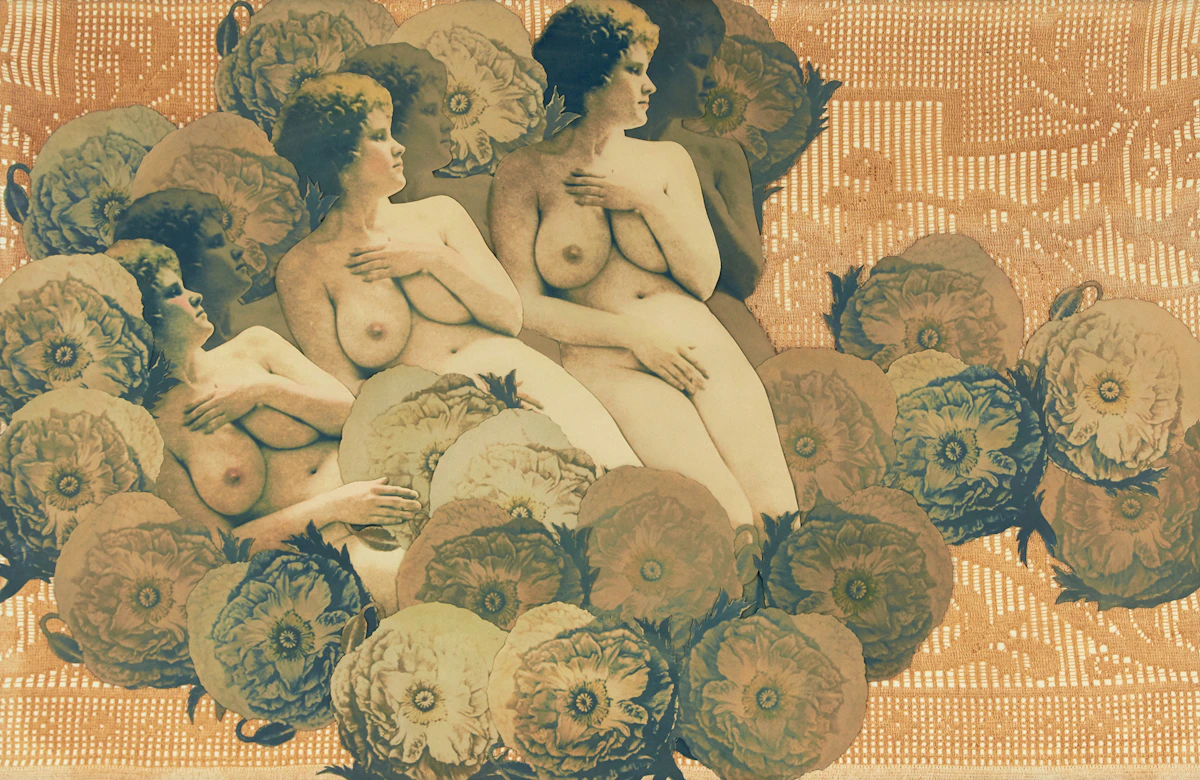 Evergon, Anna, photographic collage with embroidery, 1973