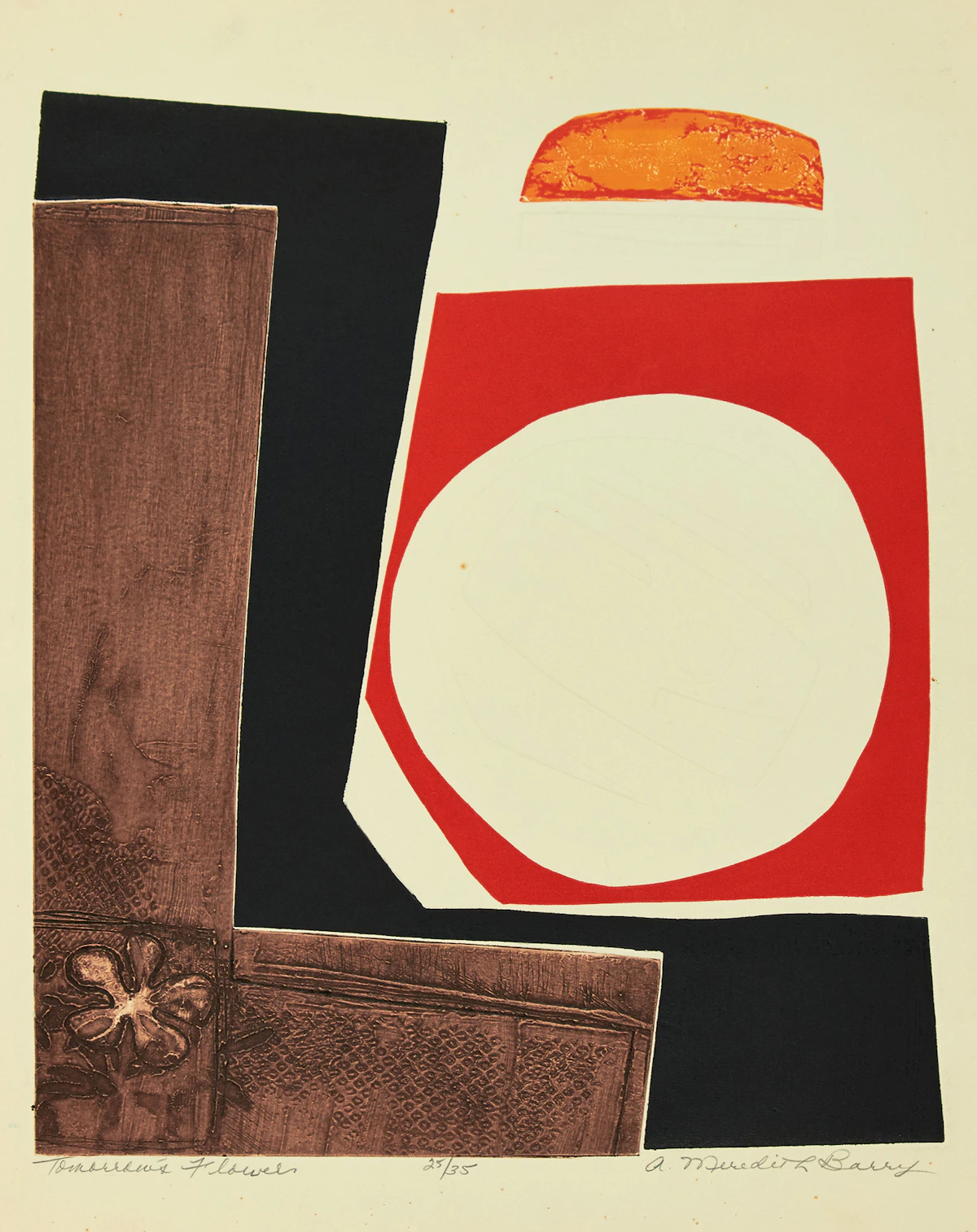 Anne Meredith Barry, Tomorrow’s Flowers, colour colograph