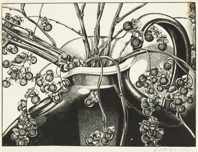 Celastrus Scandens (Bittersweet) by Henry Eric Bergman
