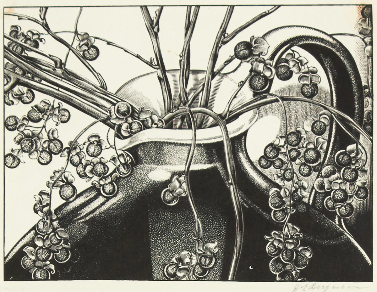 Henry Eric Bergman, Celastrus Scandens (Bittersweet), engraving, 1937