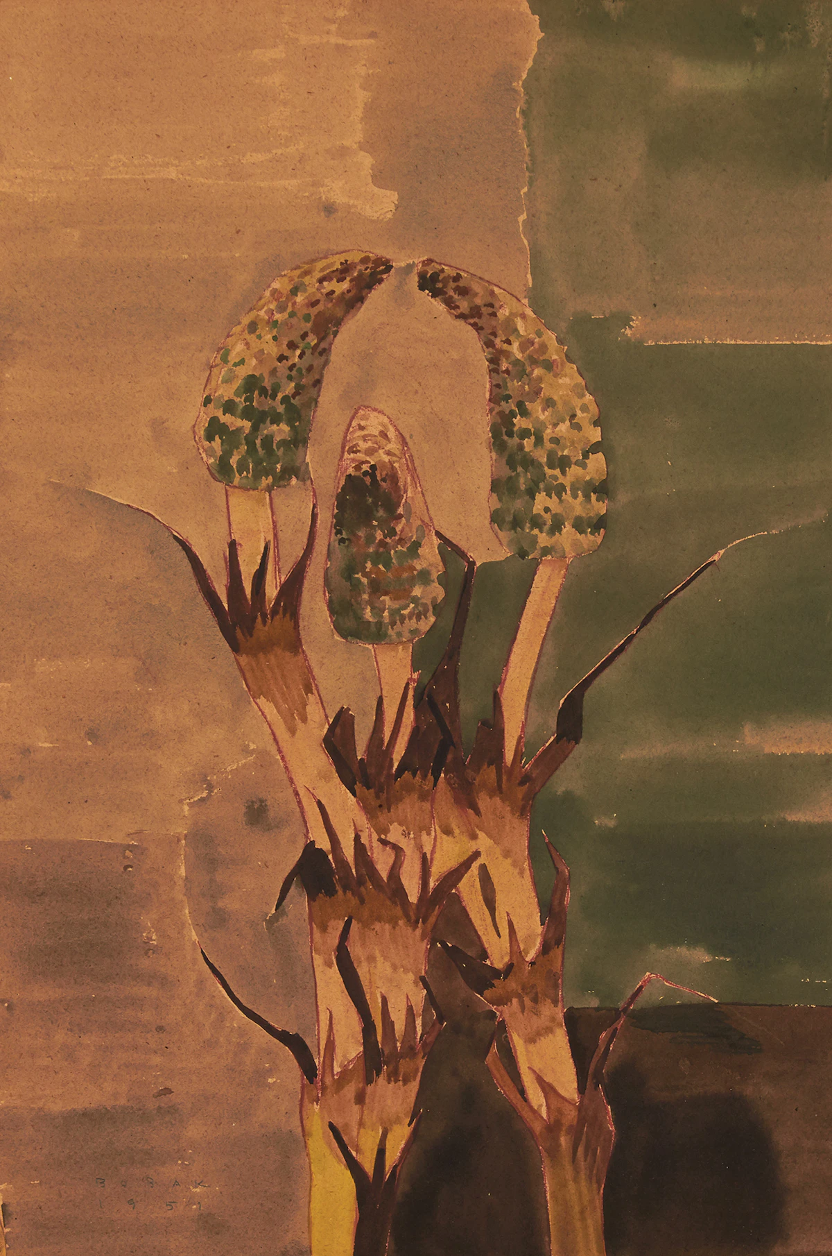 Bruno Joseph Bobak, Vegetation, watercolour, 1951