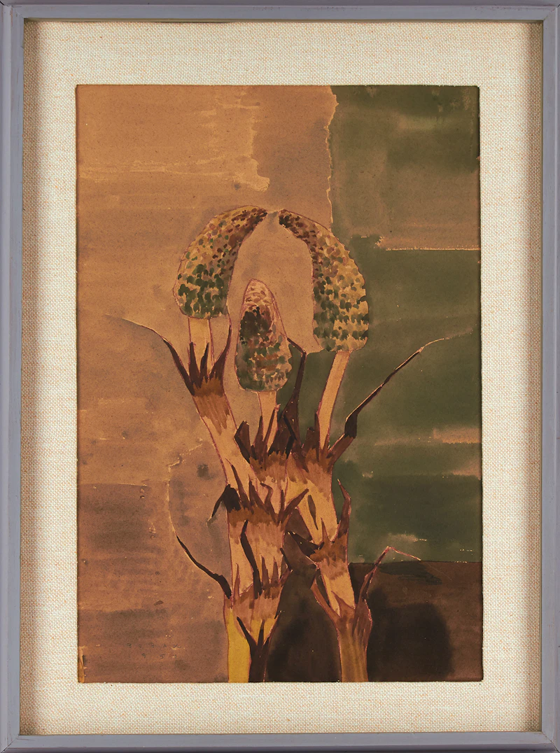 Bruno Joseph Bobak, Vegetation, watercolour, 1951 - view 2