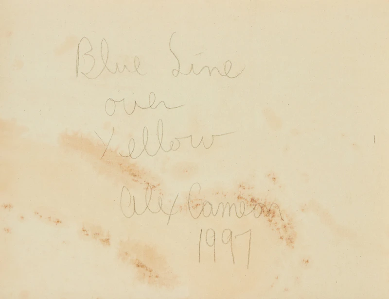 Alex Cameron, Blue Line over Yellow, oil on canvas, 1997 - view 4