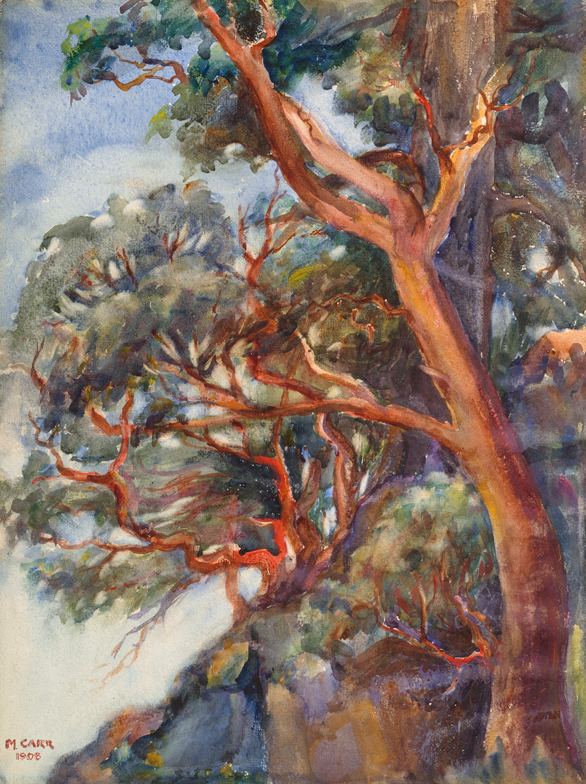 Emily Carr, Arbutus Trees, watercolour, 1908