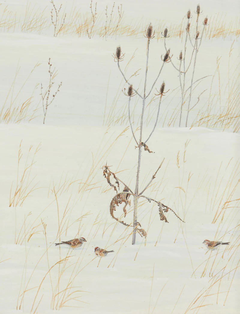Robert Bateman, Winter Field (Shingled House & Meadow), acrylic on board - view 4