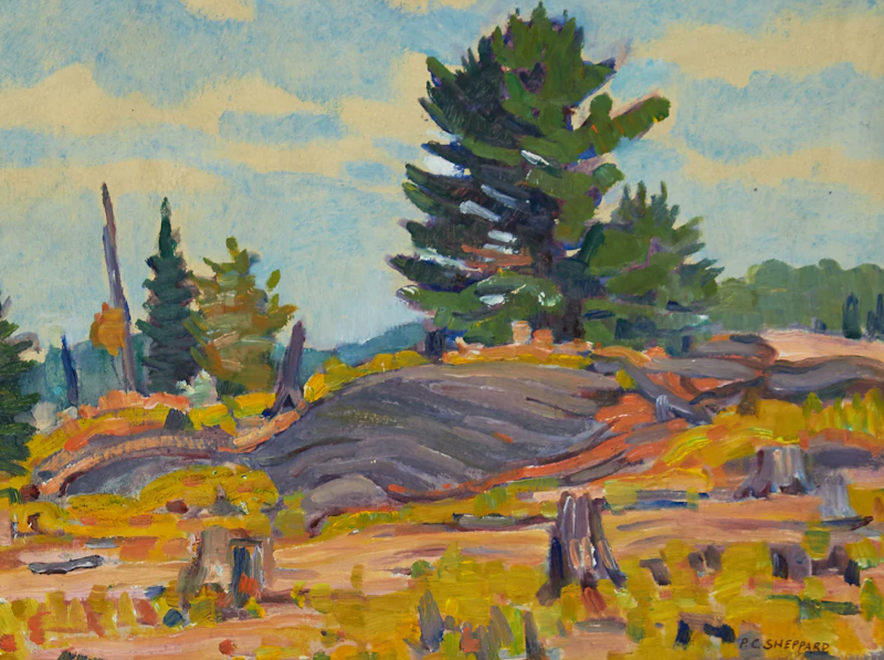 Peter Clapham Sheppard, Muskoka Back Country