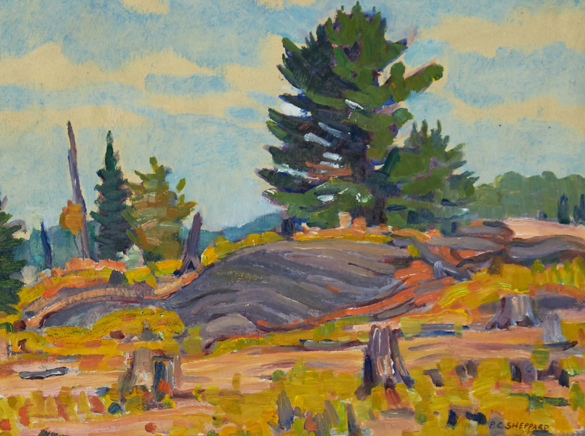 Peter Clapham Sheppard, Muskoka Back Country, oil on board