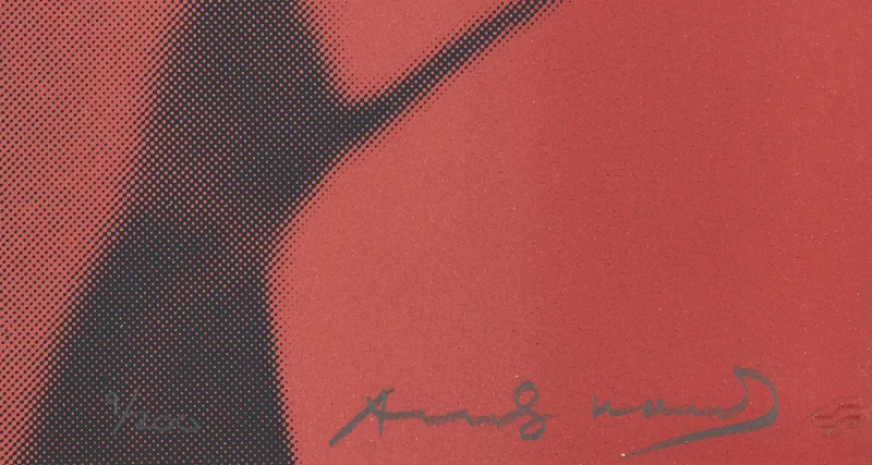 Andy Warhol, The Shadow, screenprint on Lenox Museum Board, 1981 - view 2