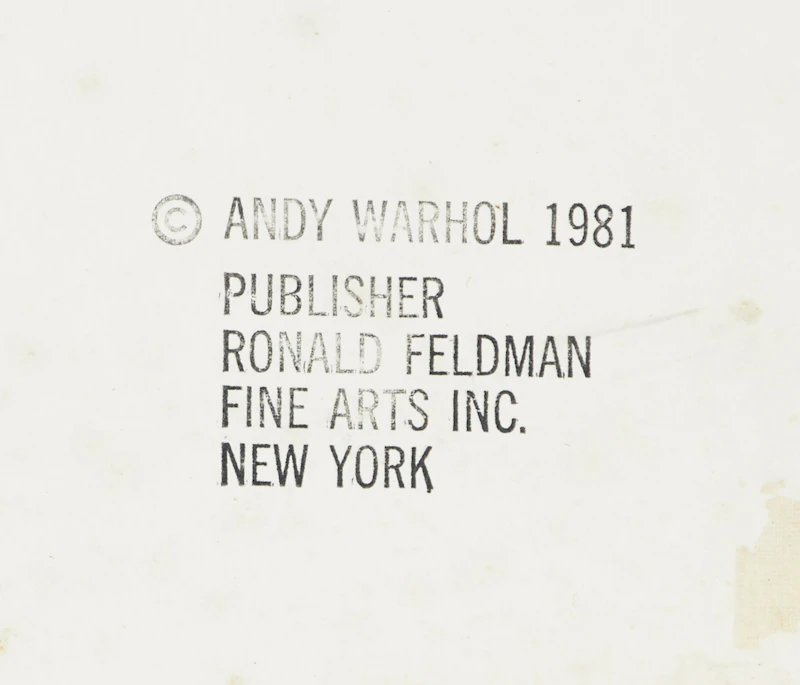 Andy Warhol, The Shadow, screenprint on Lenox Museum Board, 1981 - view 3
