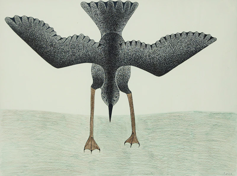 Ready for Flight by Kenojuak Ashevak