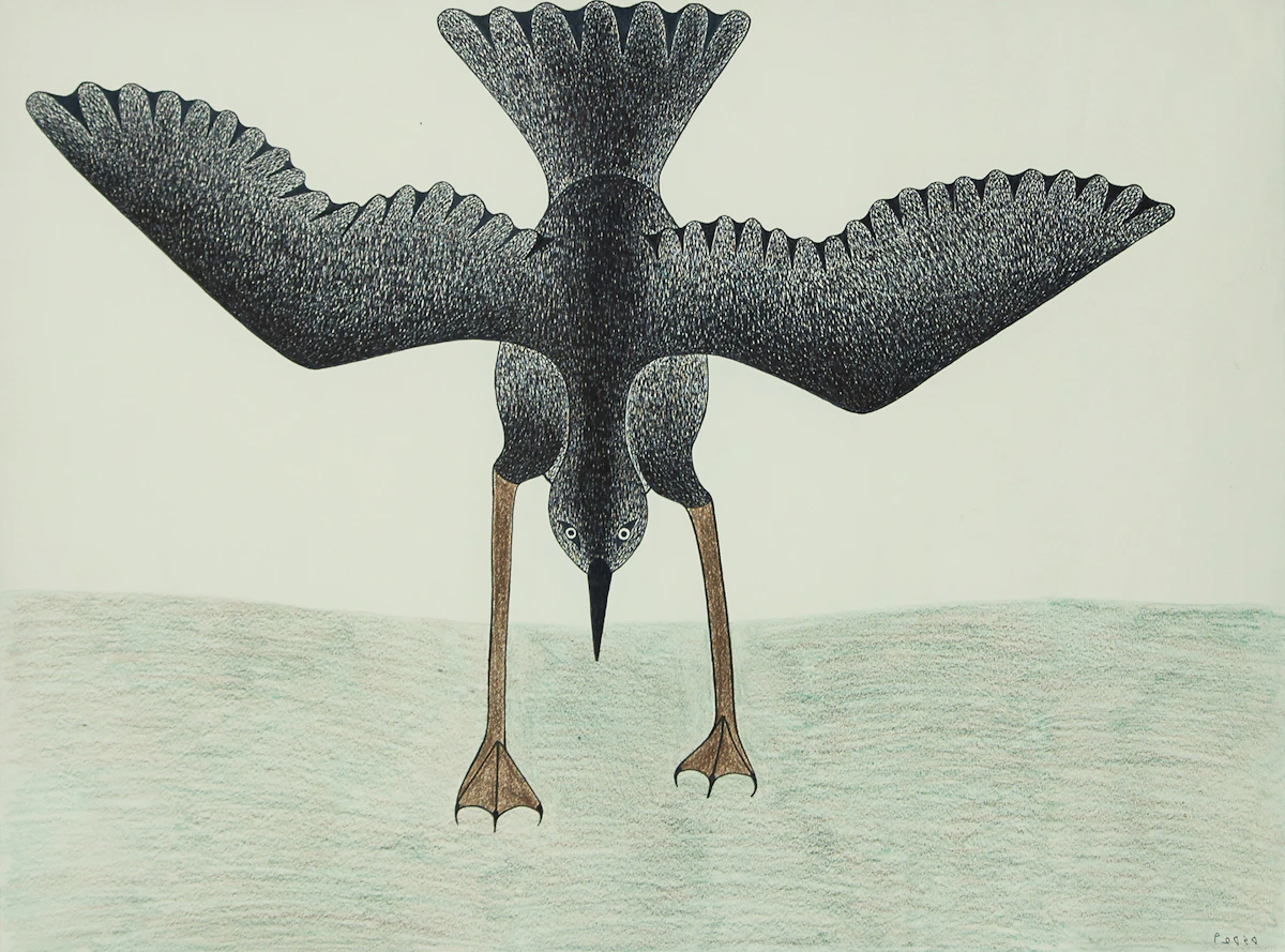 Kenojuak Ashevak, Ready for Flight, ink and crayon