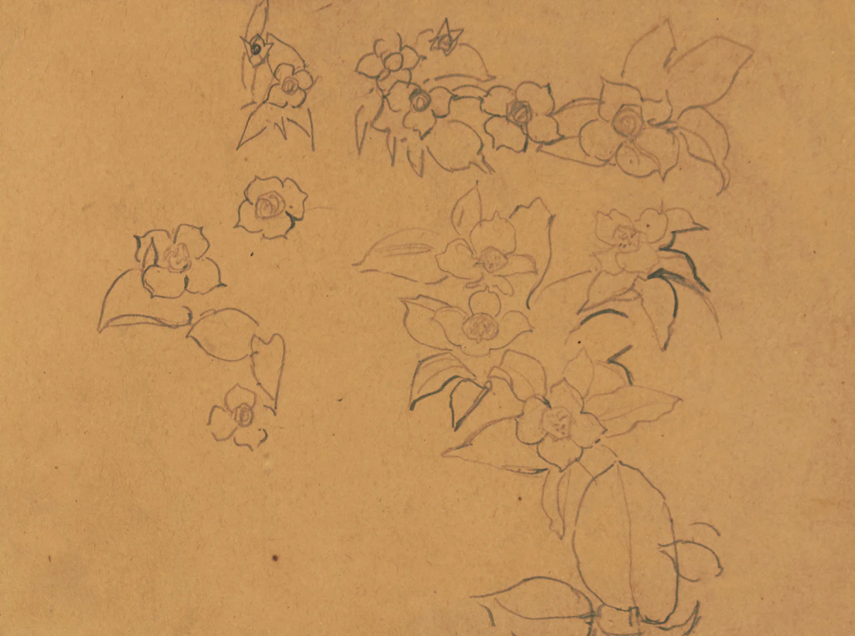 Frederick Horsman Varley, Dogwood, B.C., graphite on paper, circa 1934