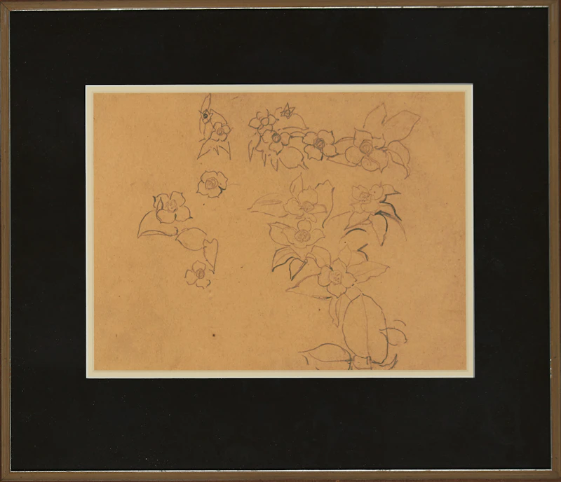 Frederick Horsman Varley, Dogwood, B.C., graphite on paper, circa 1934 - view 2