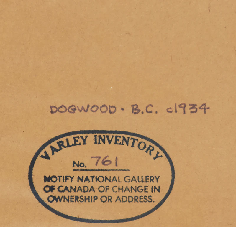Frederick Horsman Varley, Dogwood, B.C., graphite on paper, circa 1934 - view 3