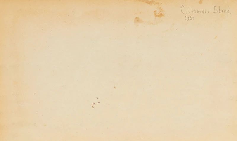 Unknown Artist, Studies of Baffin and Ellesmere Islands, 25 charcoals on paper, 1934 - view 9
