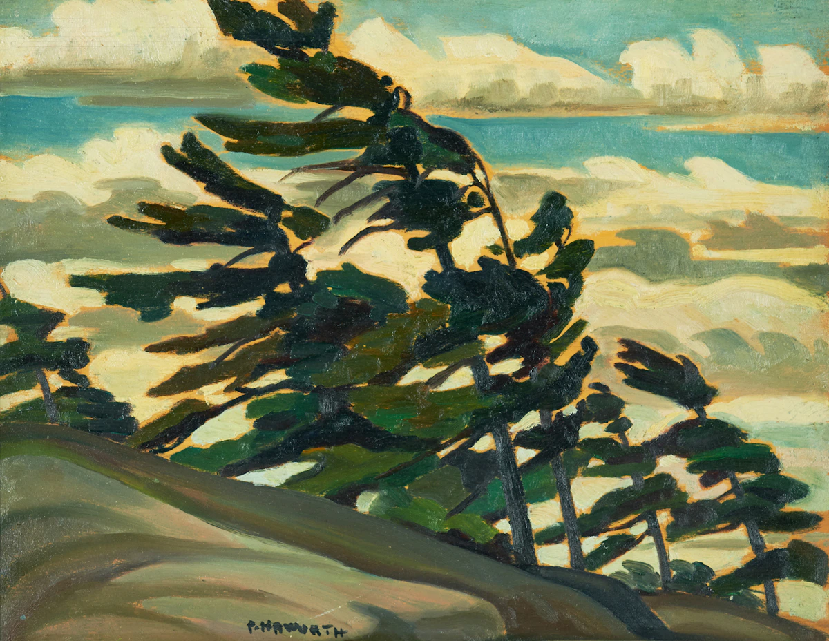 Peter Haworth, Pine Trees - Georgian Bay, oil on panel