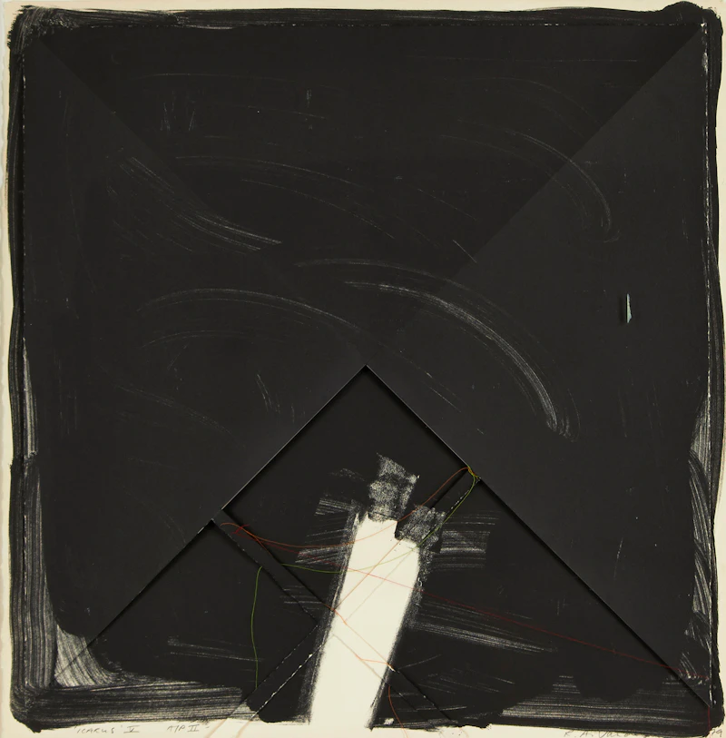 Robert Van de Peer, Three Works of Art: Messenger 1; Batesian Mime; Icarus V, no-medium - view 3