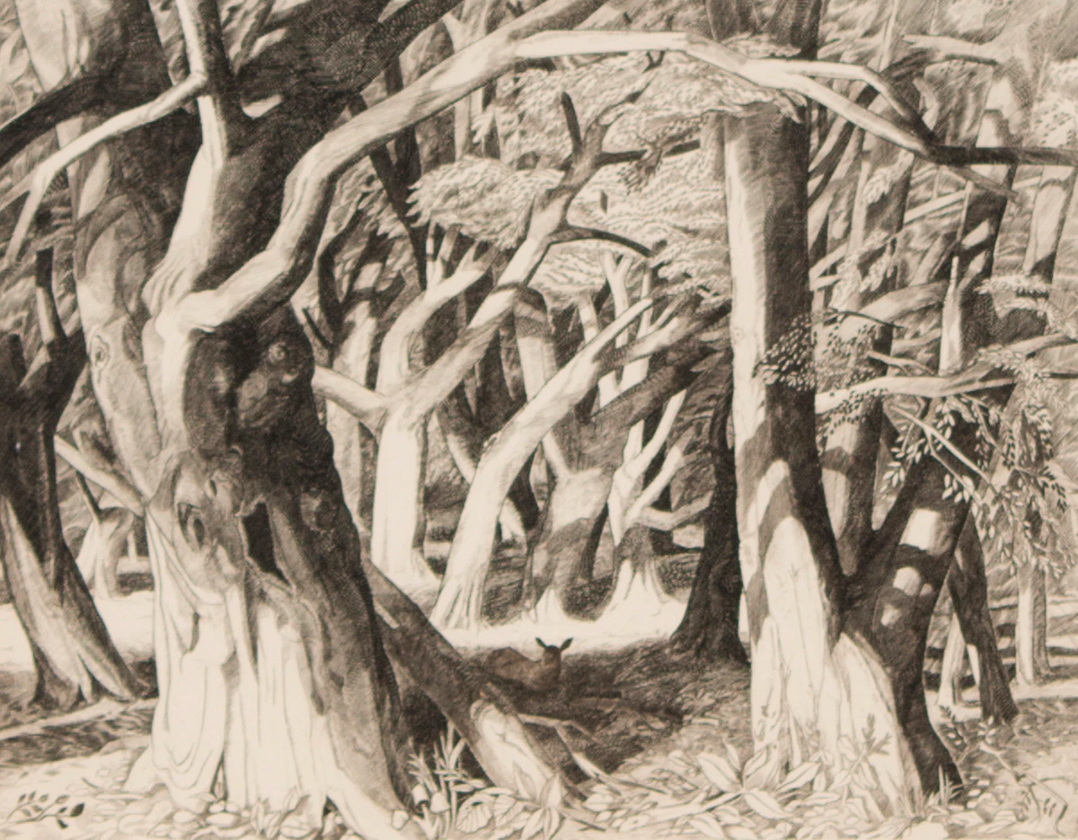 Charles H.A Chaplin, Light and Shade (New Forest), engraving, 1960
