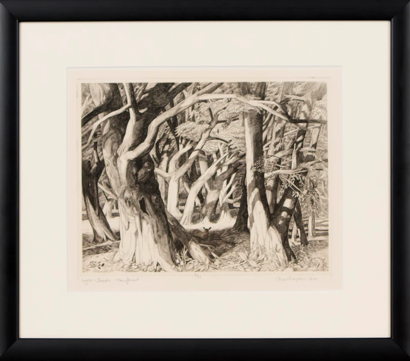 Charles H.A Chaplin, Light and Shade (New Forest), engraving, 1960 - view 2