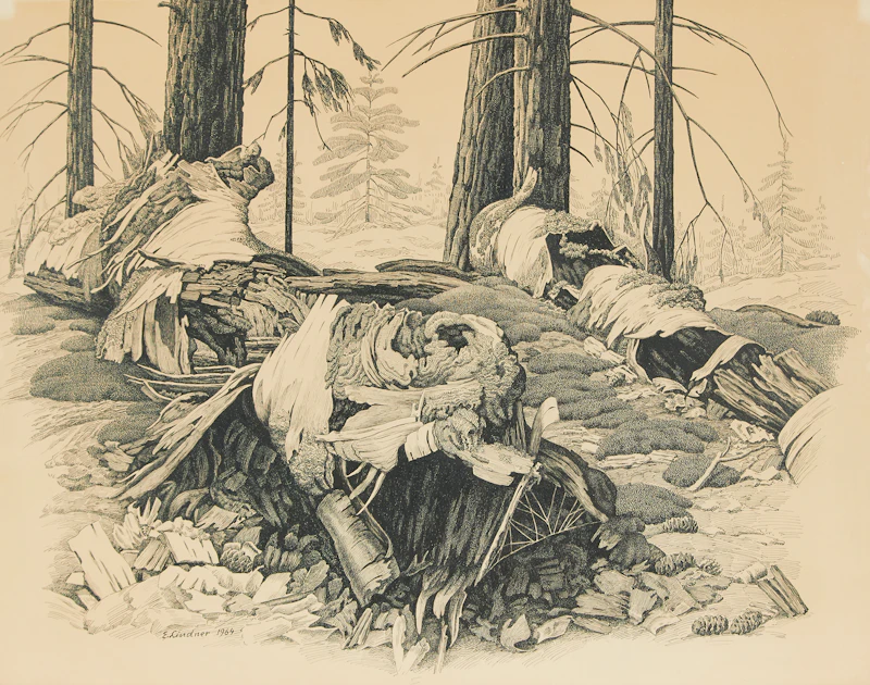 Edge of Woods by Ernest Lindner