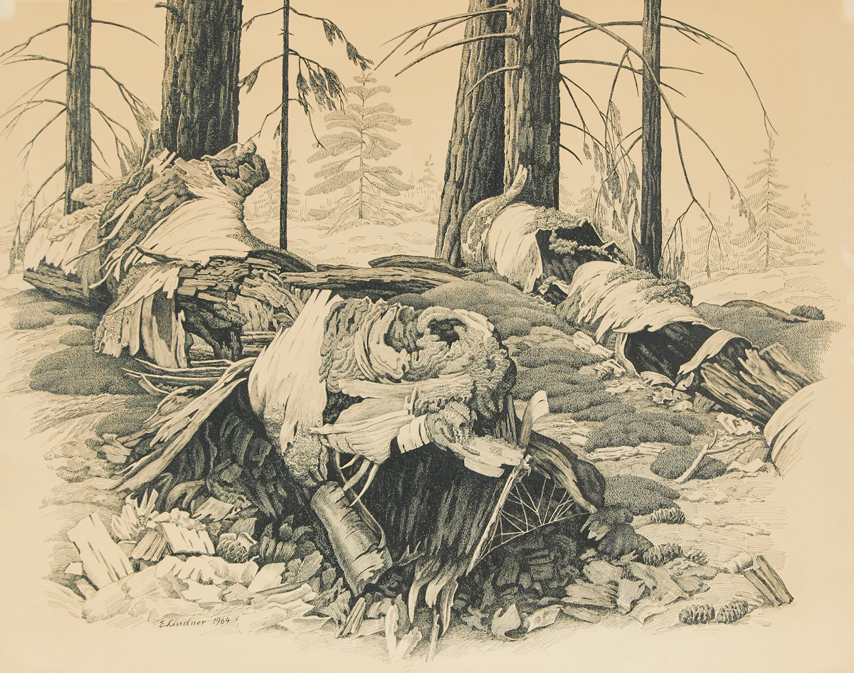 Ernest Lindner, Edge of Woods, ink drawing, 1964