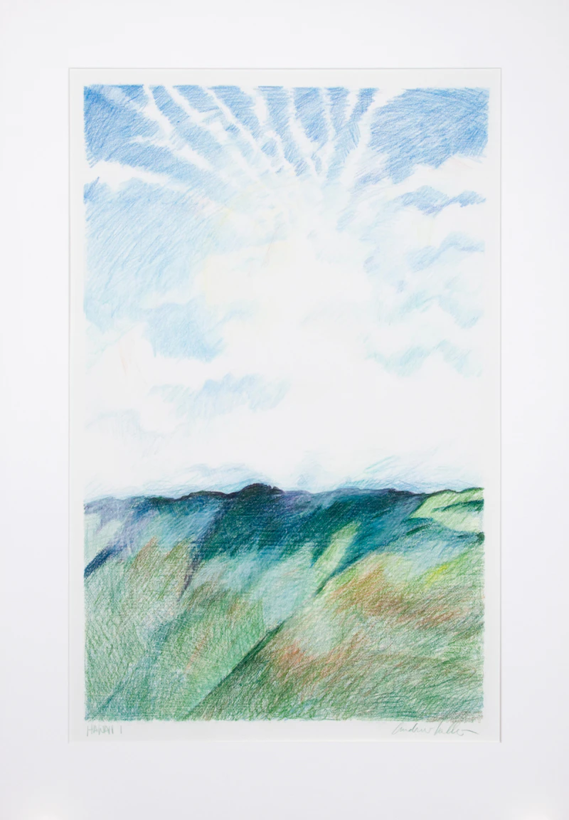 Andrew Valko, Hawaii 1, coloured pencil on paper - view 2
