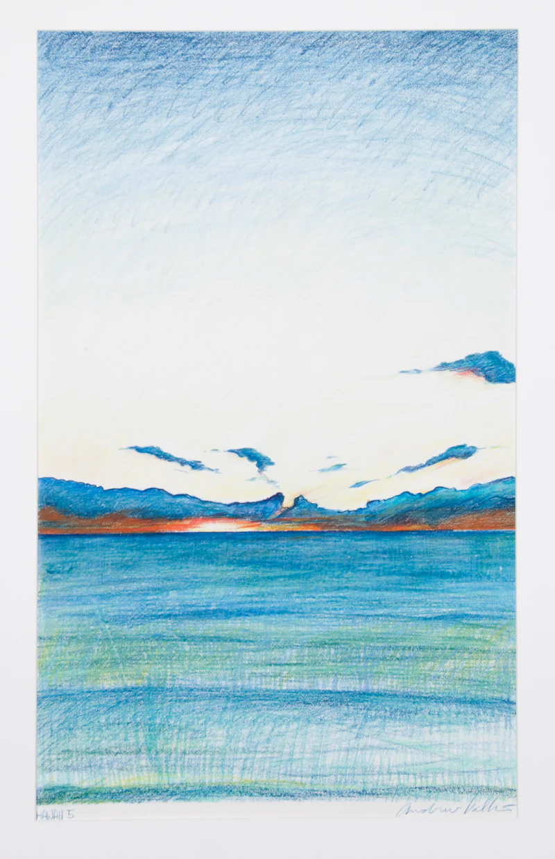 Andrew Valko, Hawaii 5, coloured pencil on paper - view 2