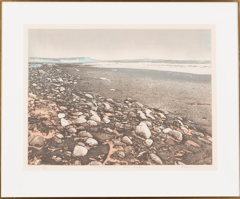 Coastal Rock #4, Nova Scotia by Edward John Bartram