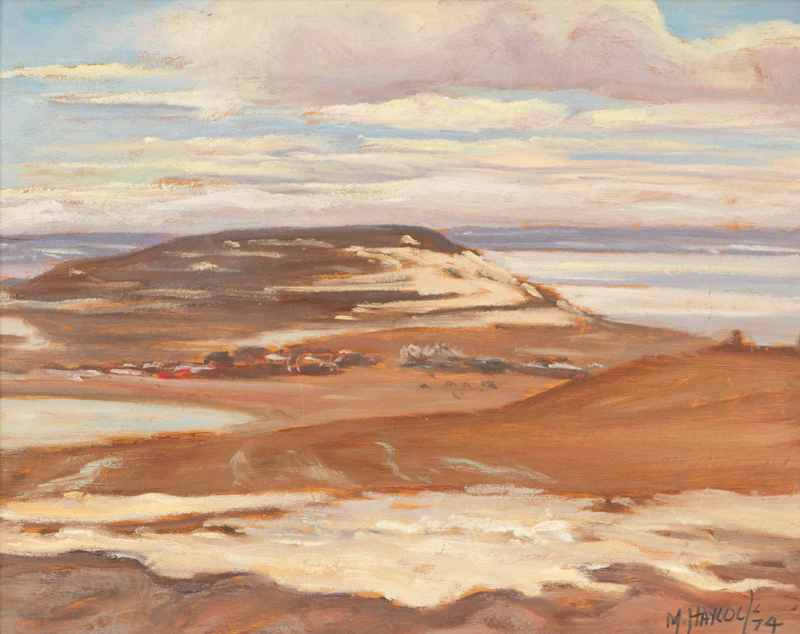Resolute Bay from Hill to North East by Maurice Hall Haycock